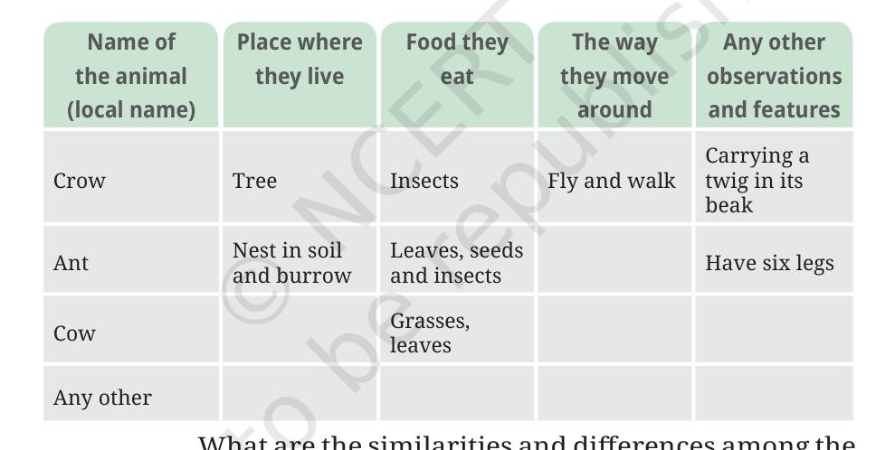 Table 2.2 - Observations of different animals around us